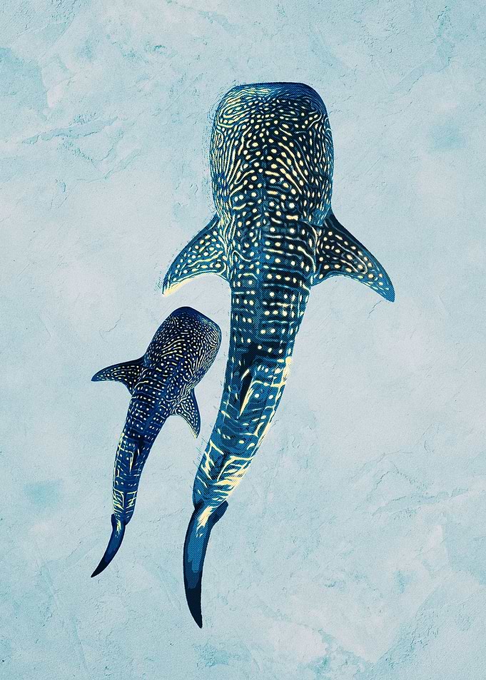 Ocean Giants