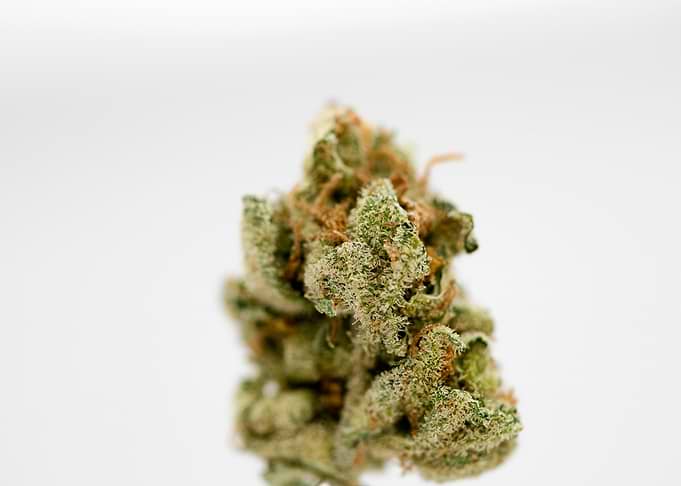 Super lemon haze skunk