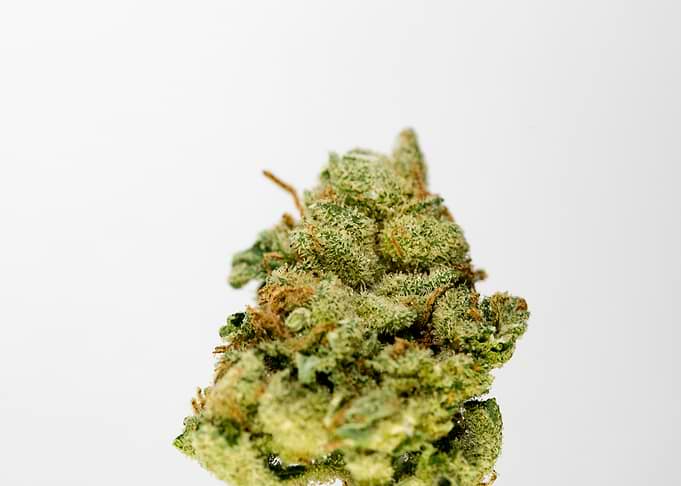 Super lemon haze skunk