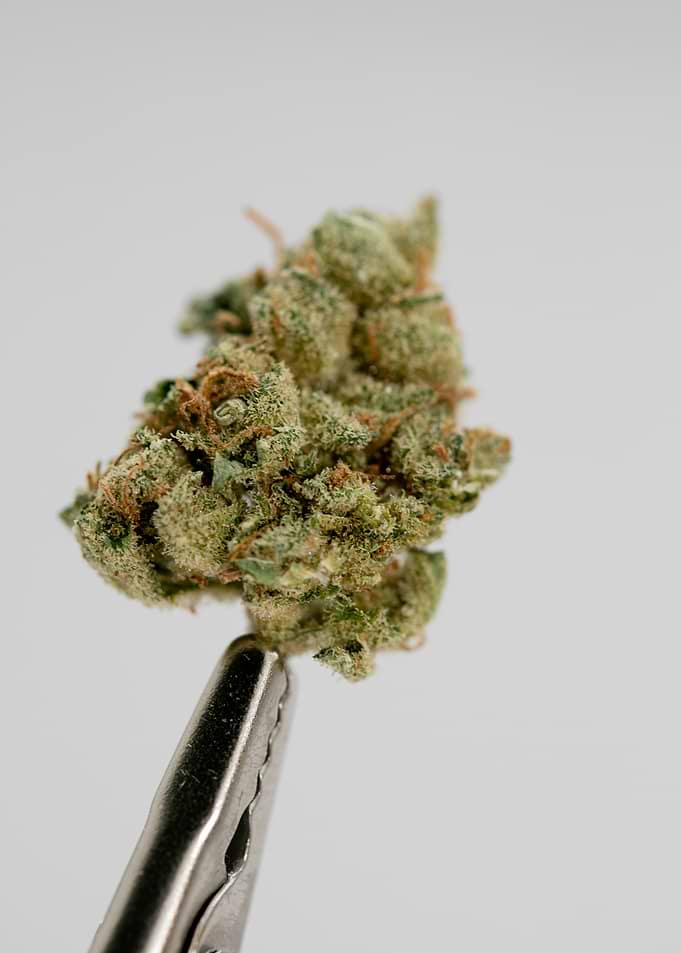 Super lemon haze skunk