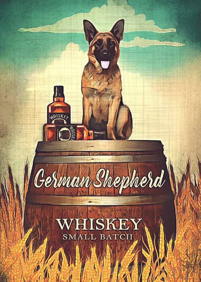 German Shepherd