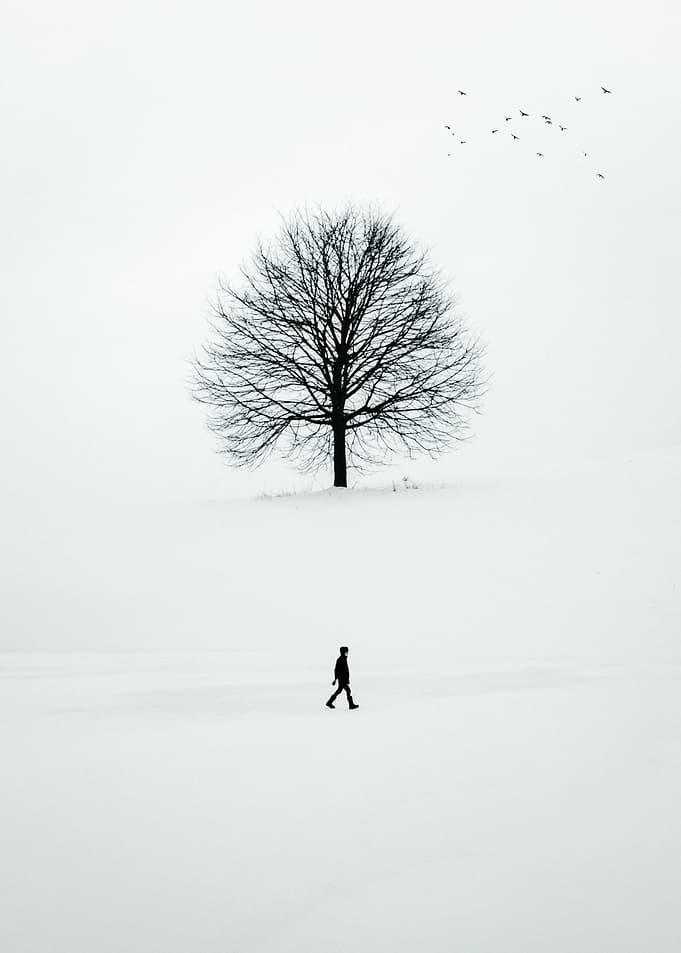 Alone Introspection Bnw
