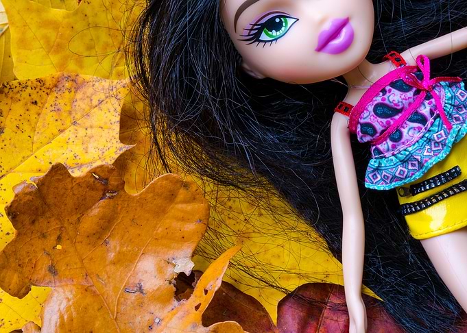 doll eye on autumn leaves