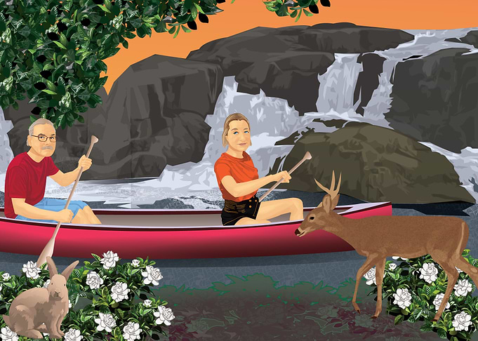 canoe w waterfall