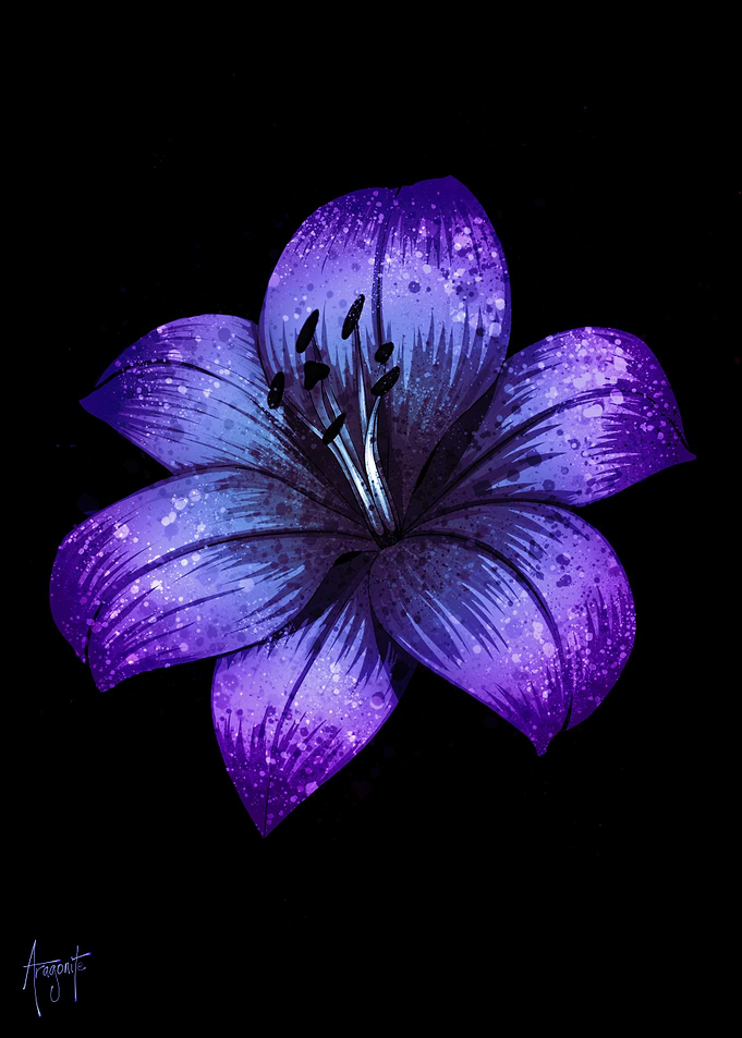 Blue Lily