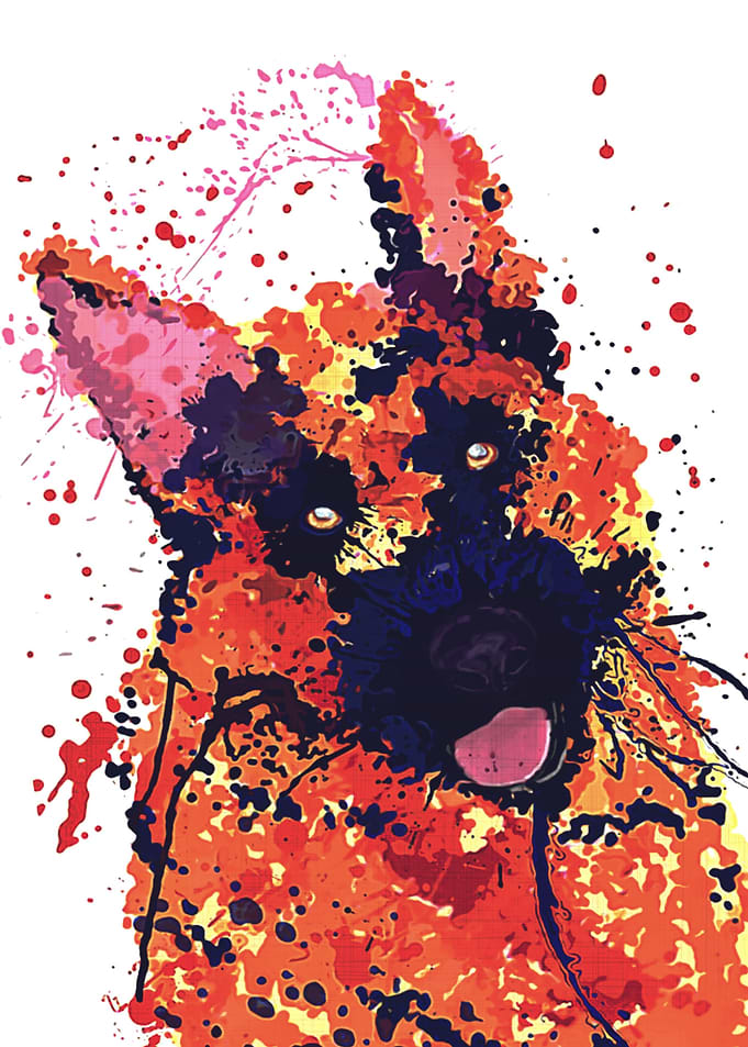 German Shepherd