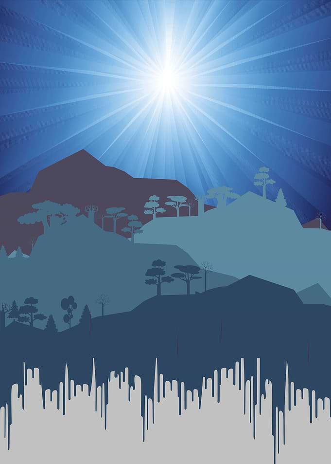 Mountain Forest