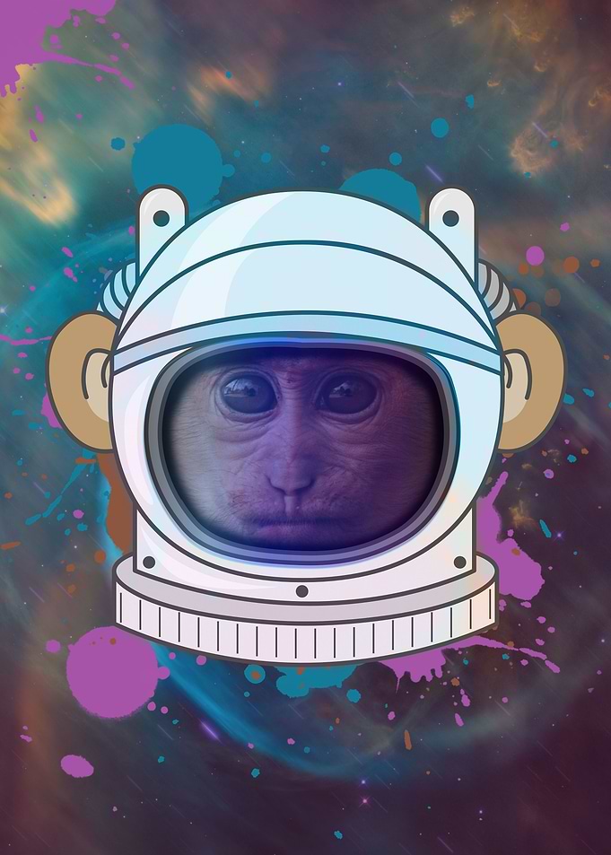 Astronaut Monkey