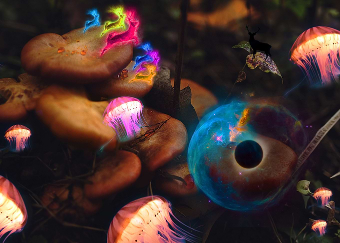 Jellyfish Universe