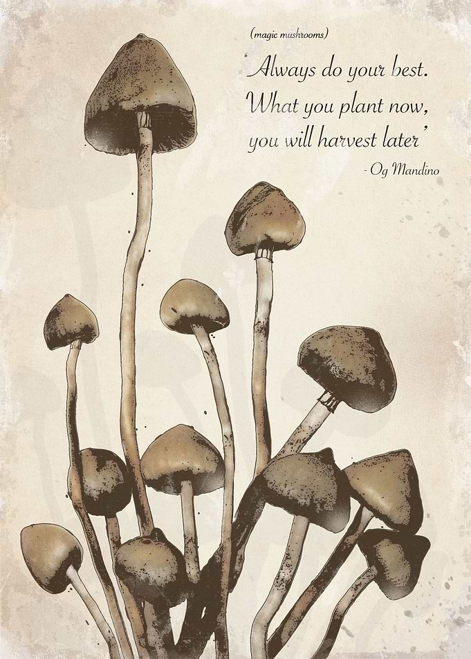 Mushrooms