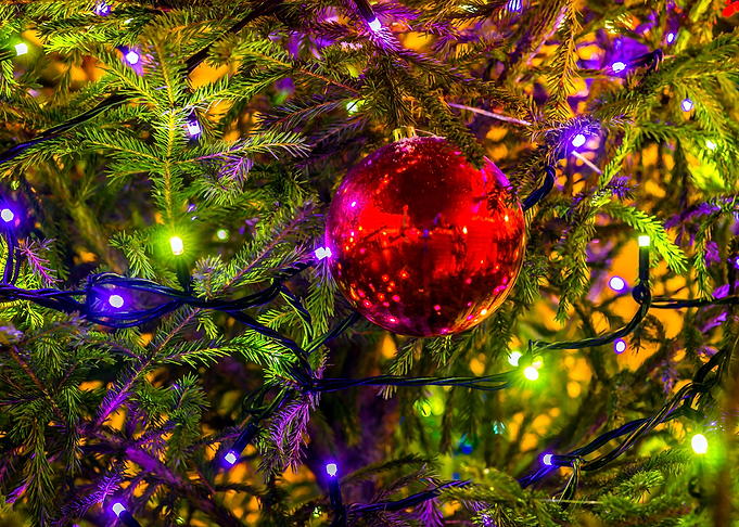 Red Ornament Blue Lights