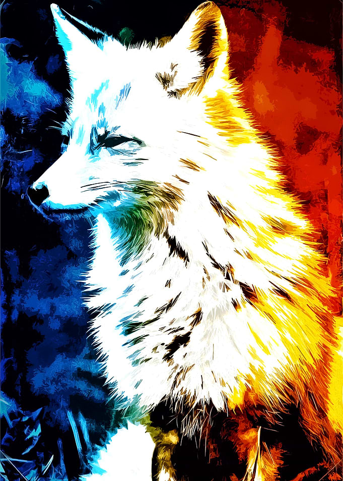 Fox