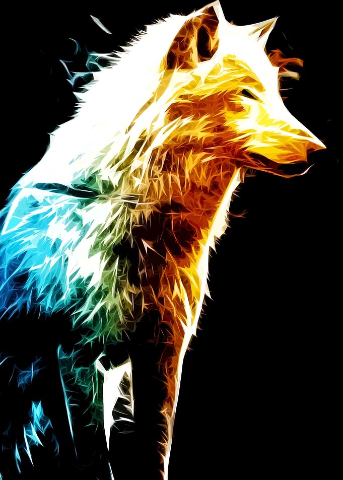 Wolf