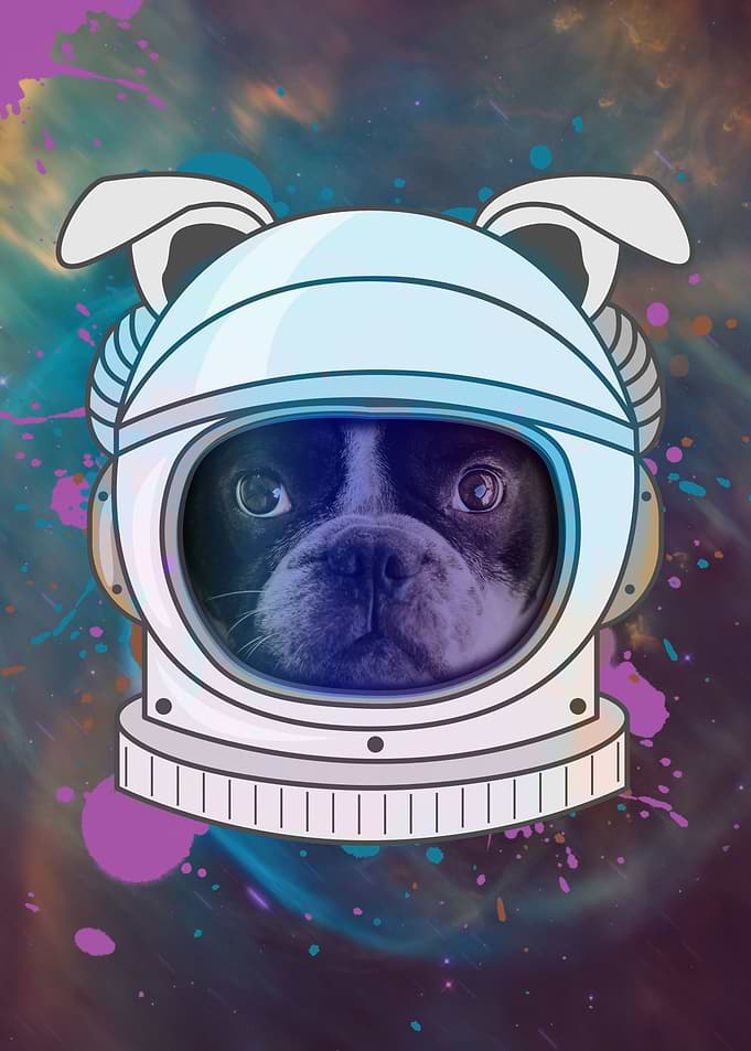 Astronaut Dog