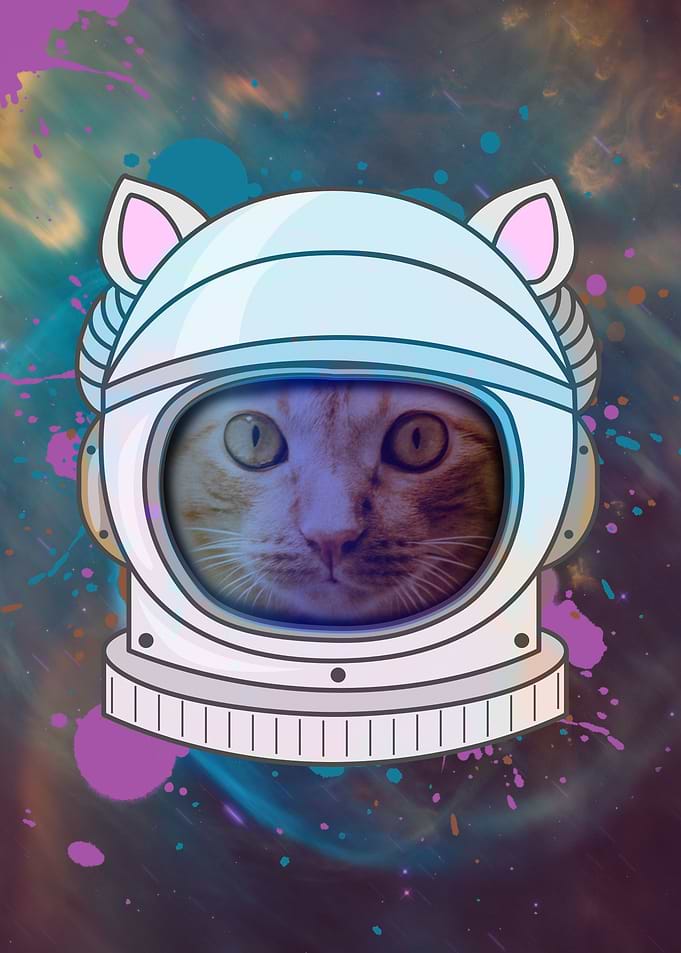 Astronaut Cat