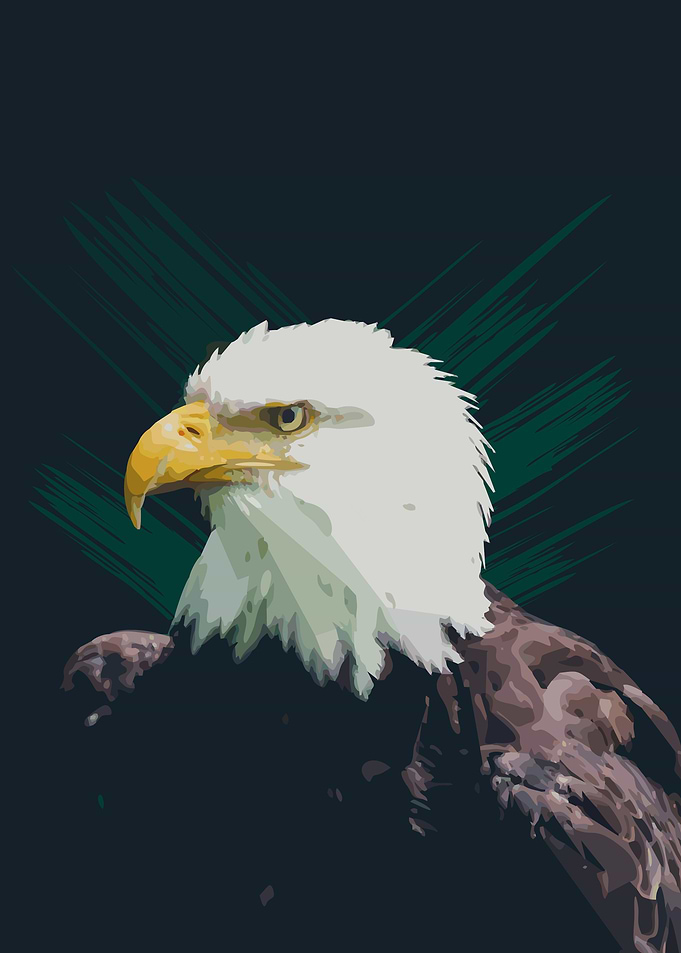 eagle bird