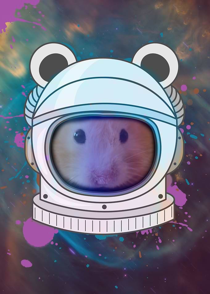 Astronaut Mouse