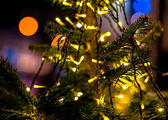 Christmas Tree Lights