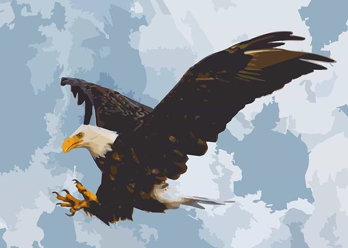 wildlife