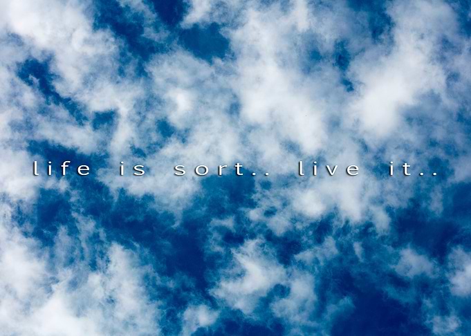 Quote in colorful prints