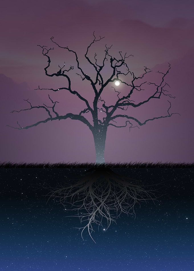 Tree of Night