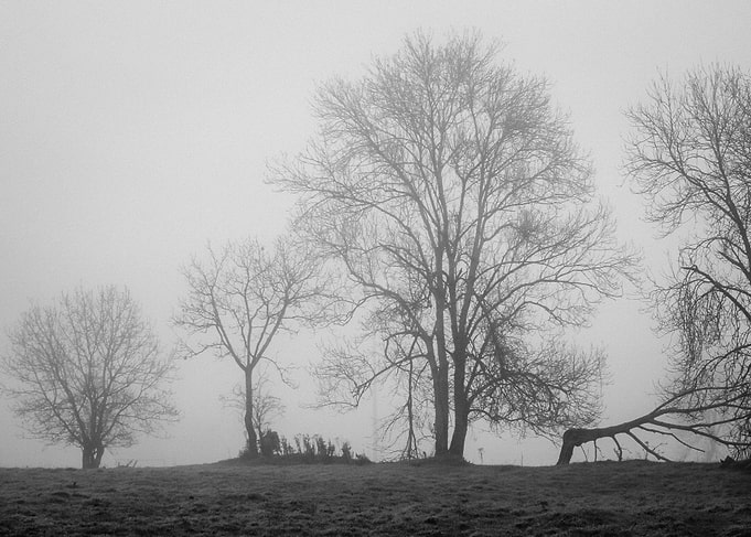 foggy day