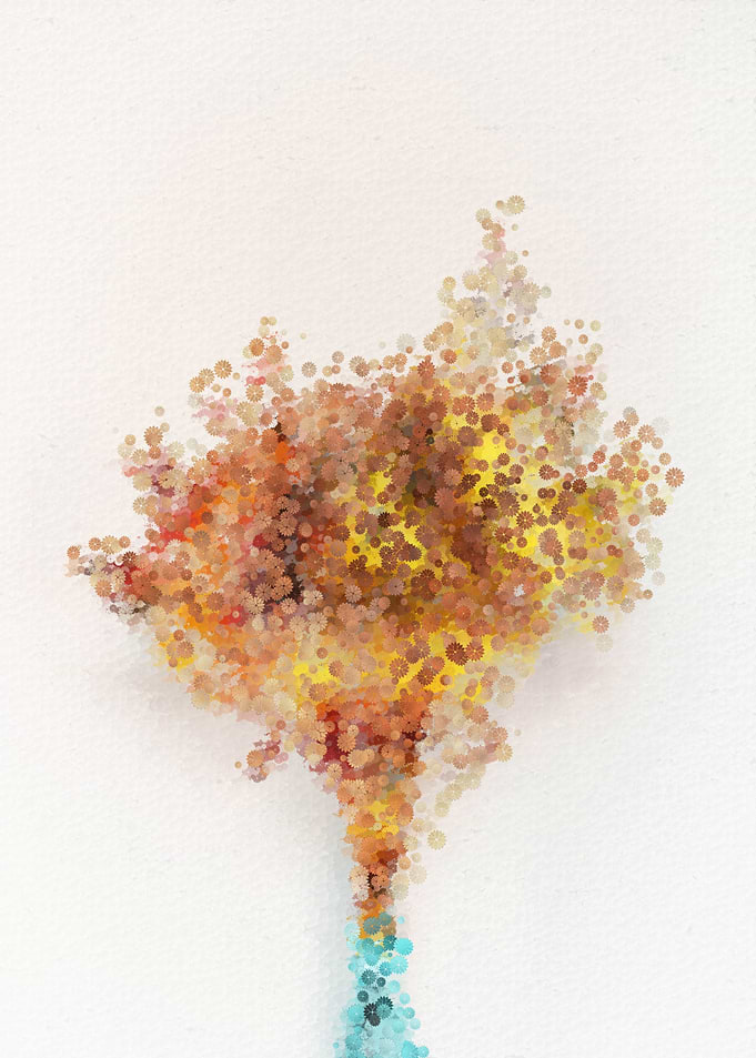 bouquet of wild flowers