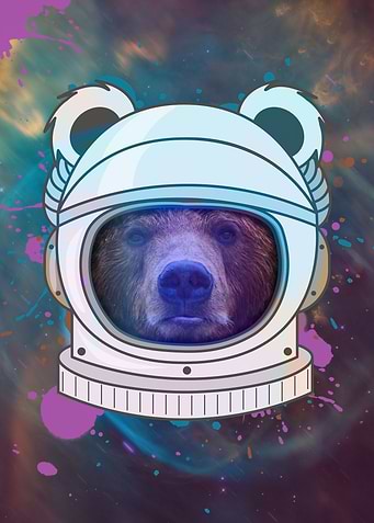 Astronaut Bear