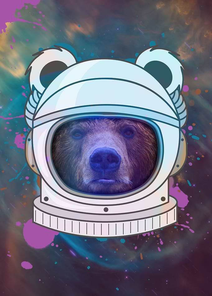Astronaut Bear
