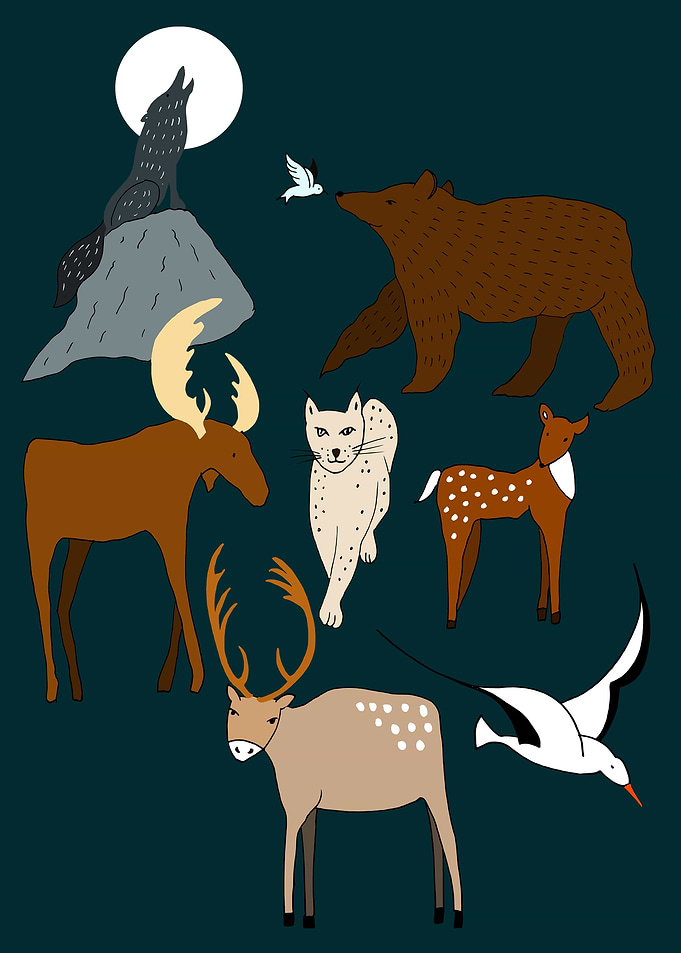 Animals of Norway