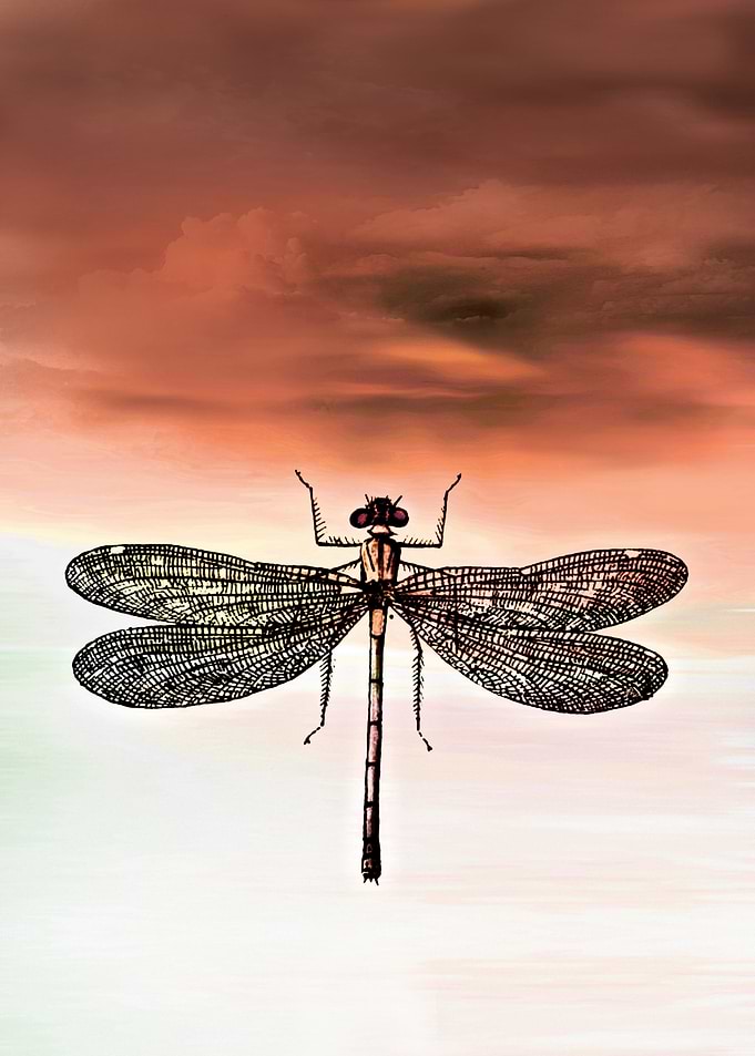DRAGONFLY IA