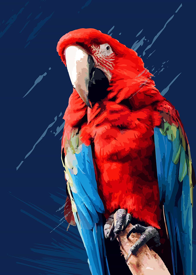 Red Parrots