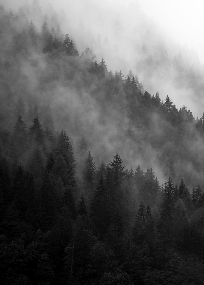 Misty Mountainside