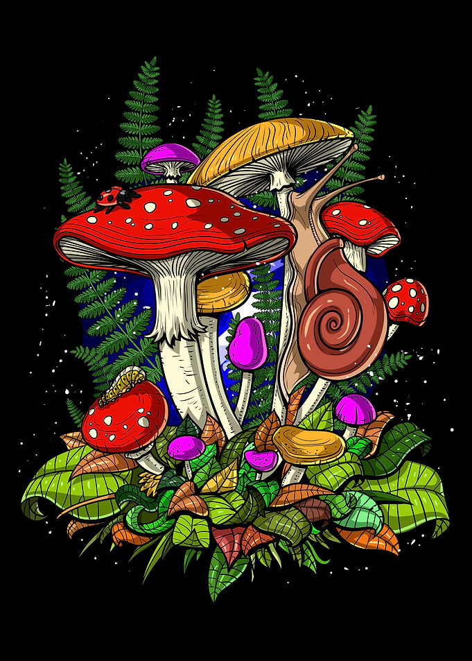 Forest Magic Mushrooms