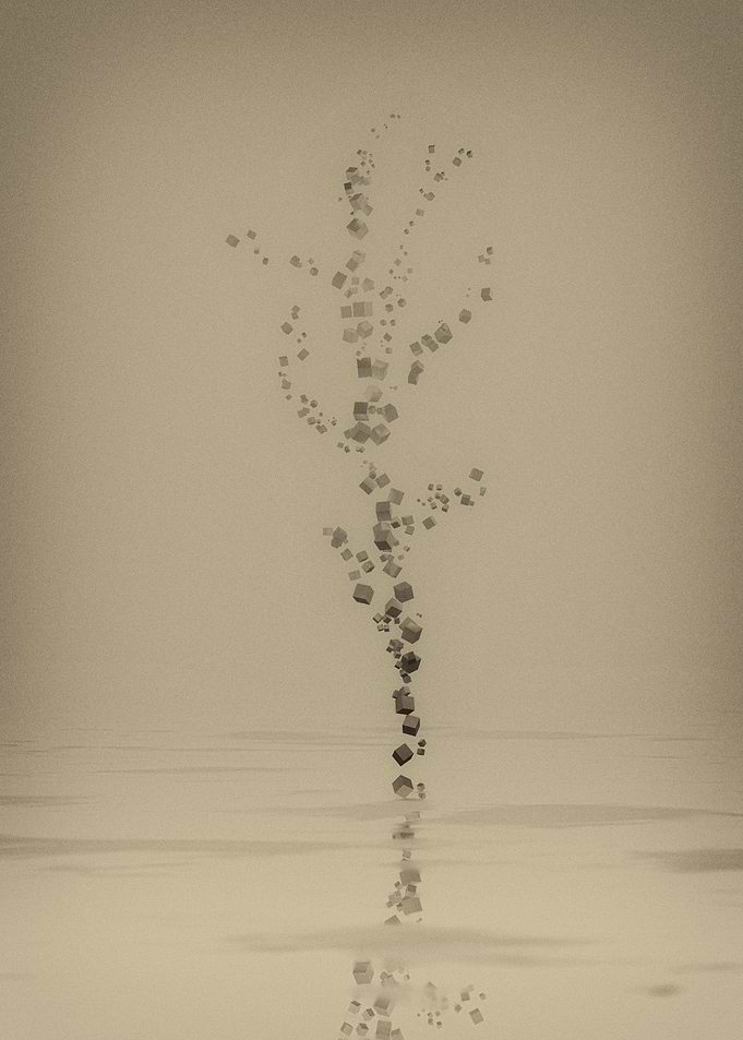 Lonely Tree