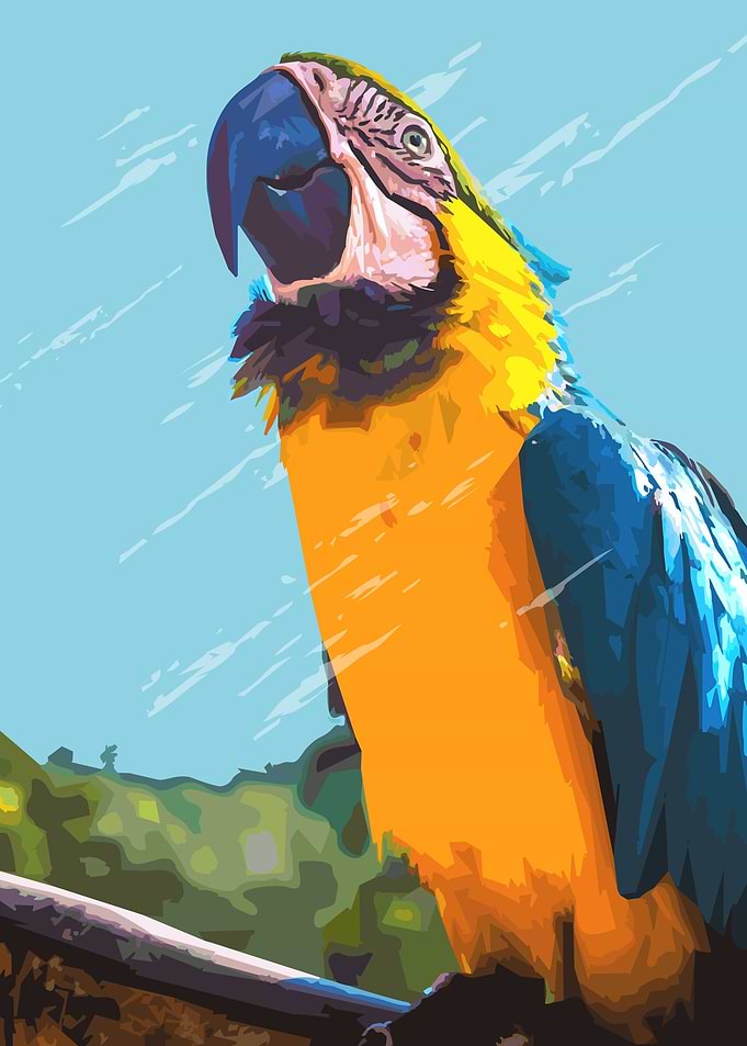 Parrots