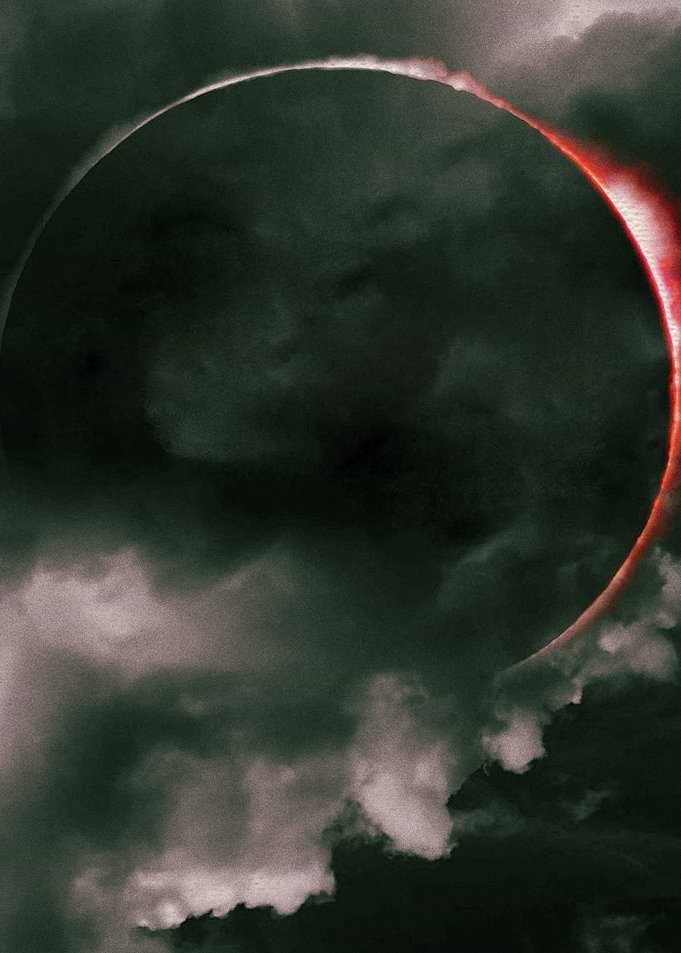 The Twilight Saga