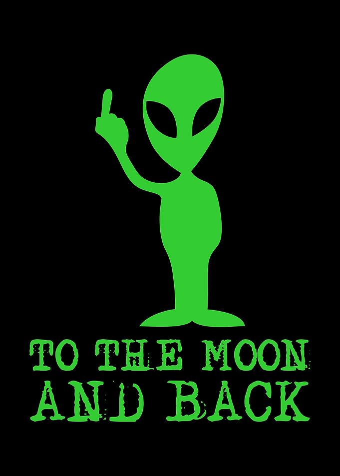 To The Moon And Back