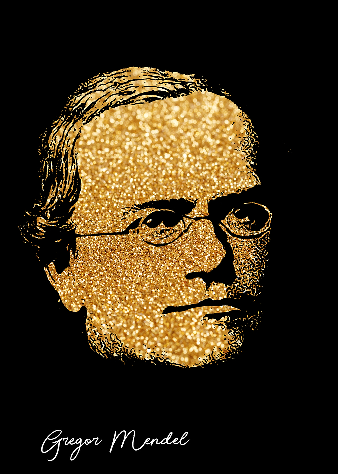 Gregor Mendel