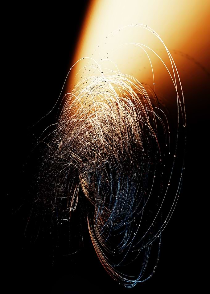 The vortex