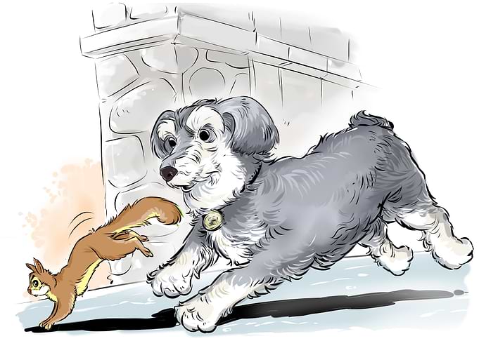 dog run catching squirrel