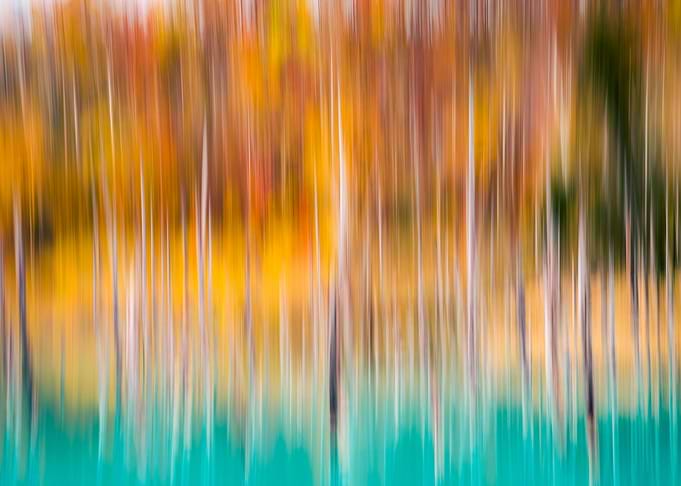Shirogane Abstract