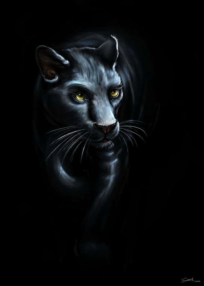 Panther