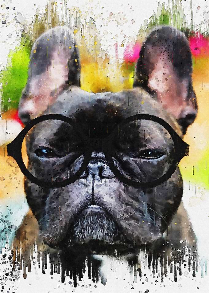 bulldog