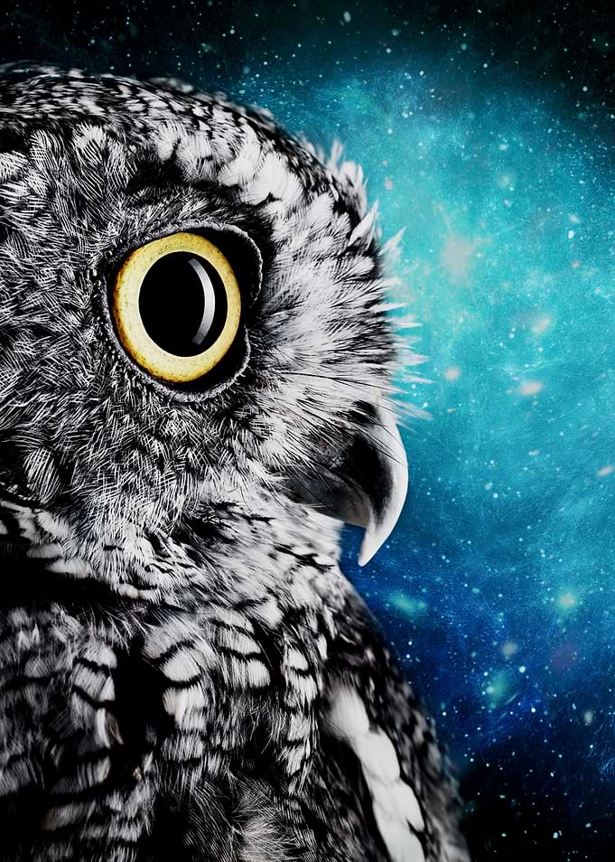 Owl Galaxy