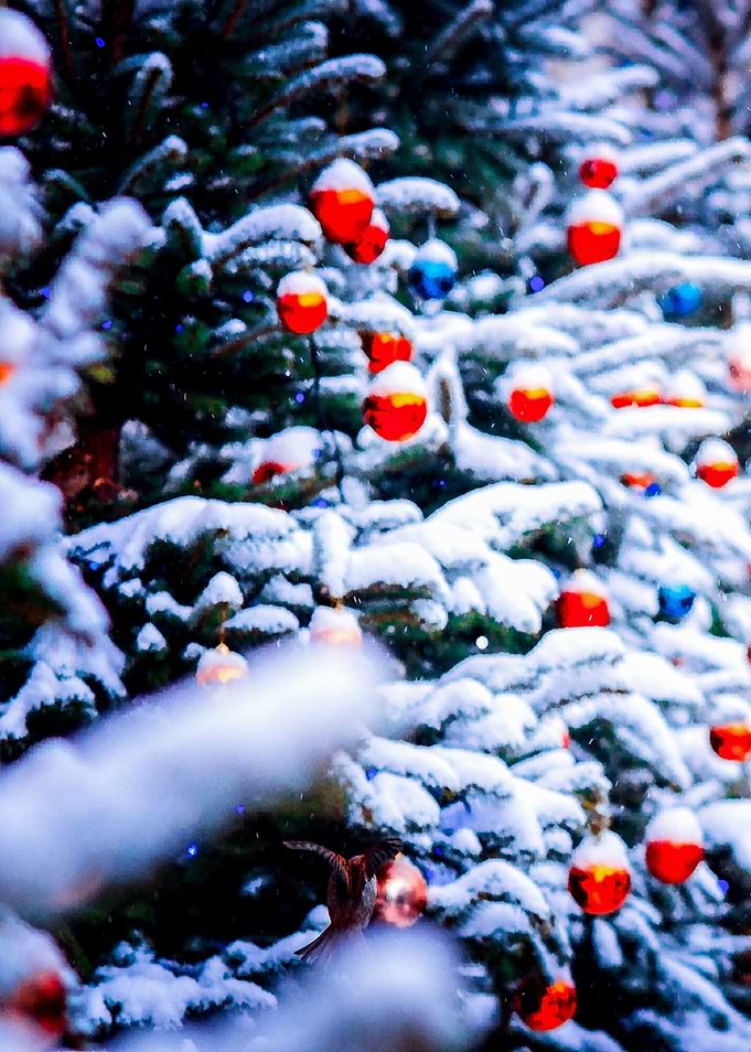 Christmas Idyll Left Part