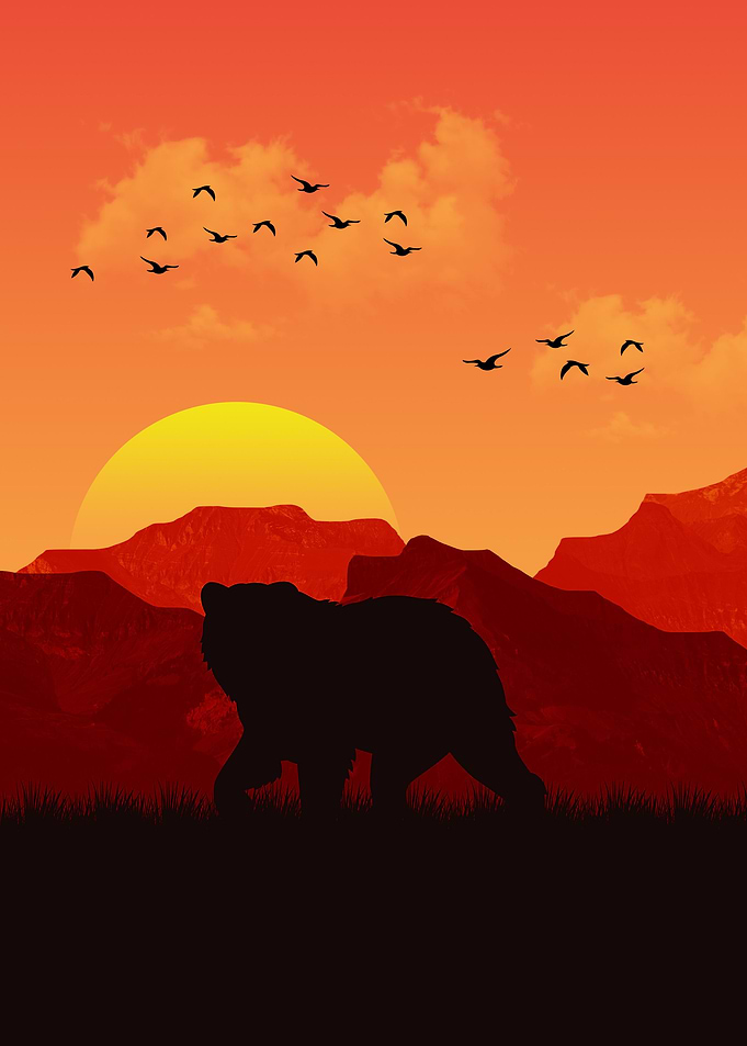 Bear