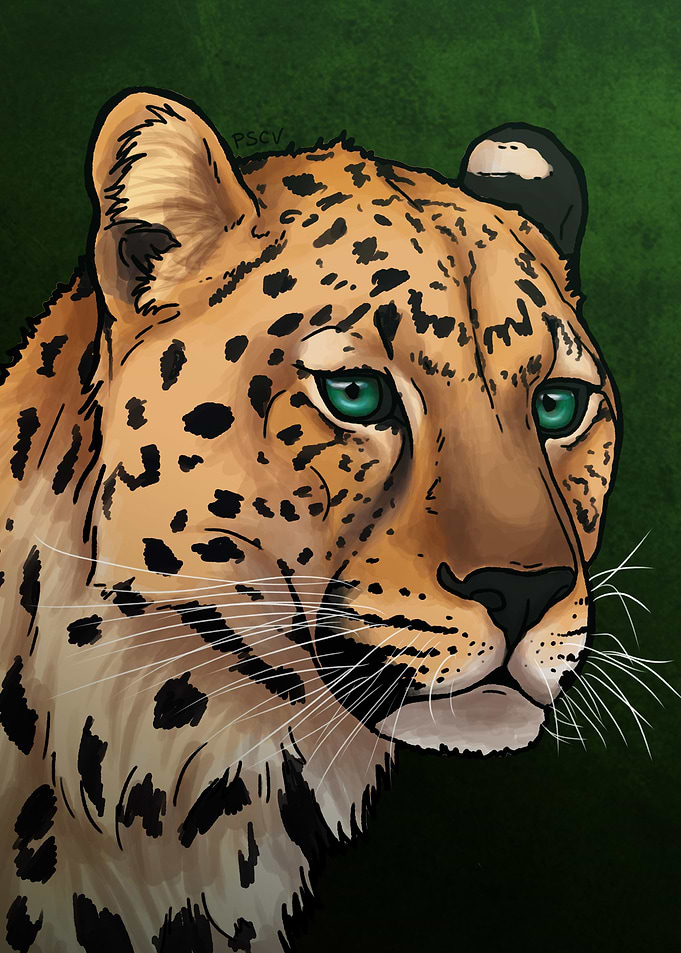 Amur leopard