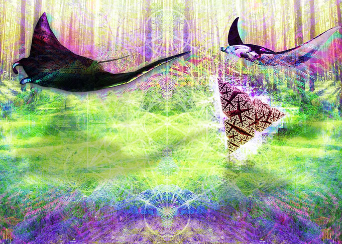 Rays of the fractal forest