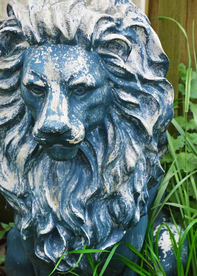 Lion Around